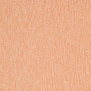 D4456 Peach by Charlotte Designer Fabric