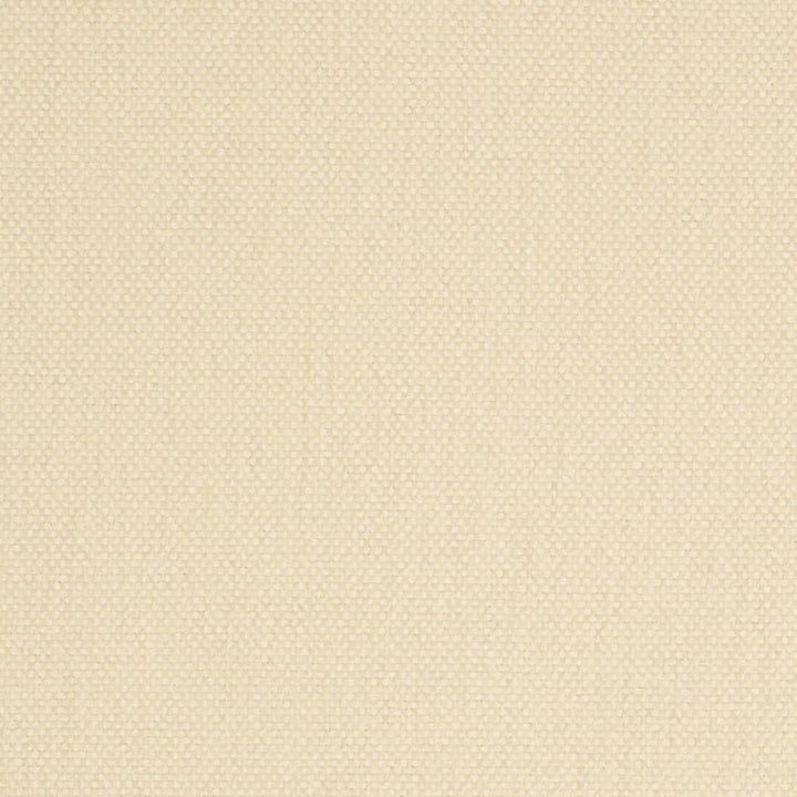 D4457 Pearl by Charlotte Designer Fabric Eco Textures 57% Olefin, 43% Polyester USA </p><p>Repeat: No Repeat 54 Inches - Swanky Fabrics -
