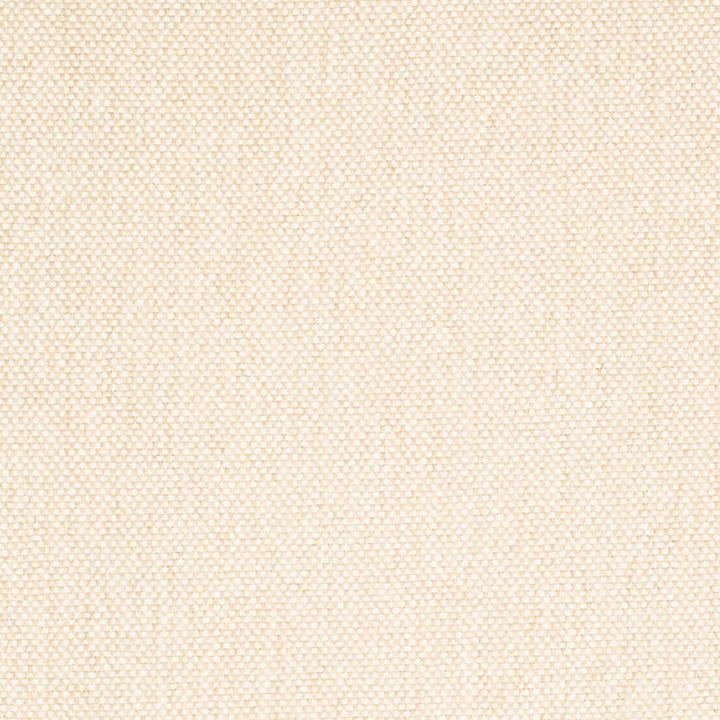 D4459 Linen by Charlotte Designer Fabric Eco Textures 57% Olefin, 43% Polyester USA </p><p>Repeat: No Repeat 54 Inches - Swanky Fabrics -