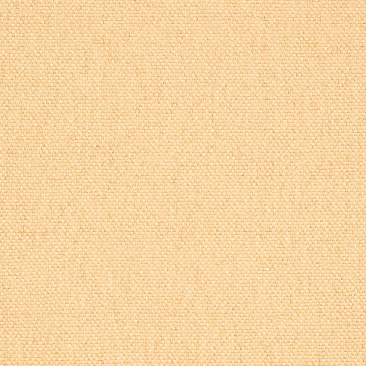 D4461 Khaki by Charlotte Designer Fabric Eco Textures 57% Olefin, 43% Polyester USA </p><p>Repeat: No Repeat 54 Inches - Swanky Fabrics -