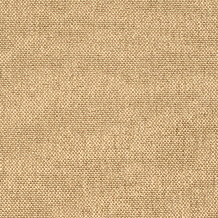 D4464 Latte by Charlotte Designer Fabric Eco Textures 57% Olefin, 43% Polyester USA </p><p>Repeat: No Repeat 54 Inches - Swanky Fabrics -