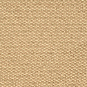 D4464 Latte by Charlotte Designer Fabric