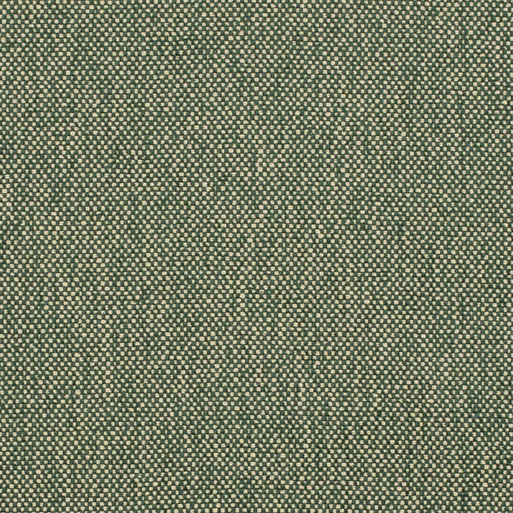 D4475 Hunter by Charlotte Designer Fabric Eco Textures 57% Olefin, 43% Polyester USA </p><p>Repeat: No Repeat 54 Inches - Swanky Fabrics -