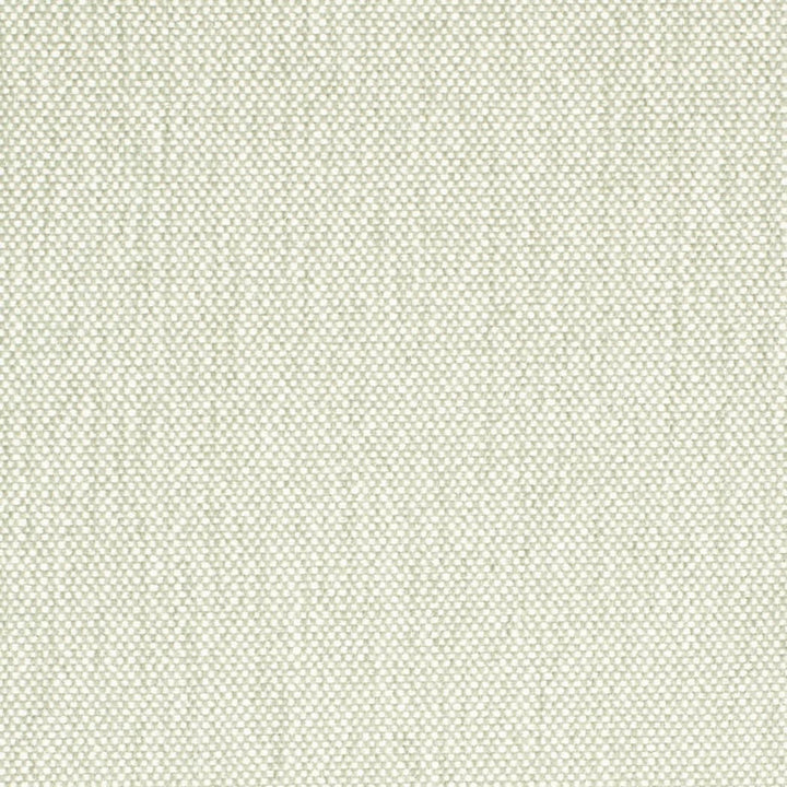 D4476 Celadon by Charlotte Designer Fabric Eco Textures 57% Olefin, 43% Polyester USA </p><p>Repeat: No Repeat 54 Inches - Swanky Fabrics -