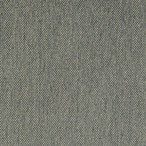 D4478 Slate by Charlotte Designer Fabric