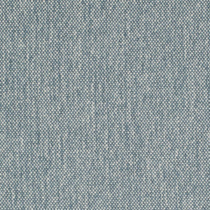 D4483 Denim by Charlotte Designer Fabric