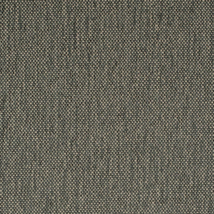 D4488 Zinc by Charlotte Designer Fabric Eco Textures 57% Olefin, 43% Polyester USA </p><p>Repeat: No Repeat 54 Inches - Swanky Fabrics -