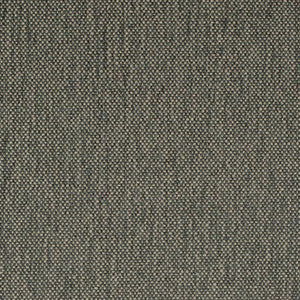 D4488 Zinc by Charlotte Designer Fabric