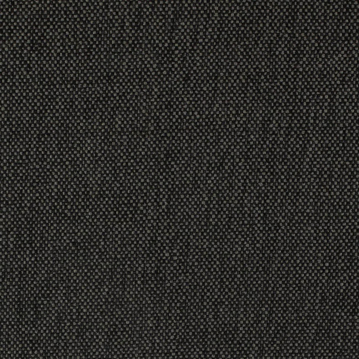 D4490 Onyx by Charlotte Designer Fabric Eco Textures 57% Olefin, 43% Polyester USA </p><p>Repeat: No Repeat 54 Inches - Swanky Fabrics -