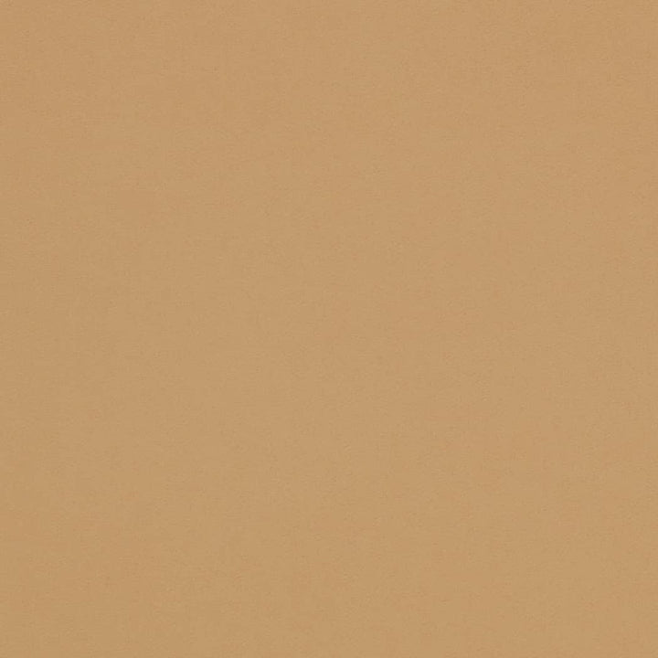 D4497 Tan by Charlotte Designer Fabric Sueded Velvet 100% Polyester, Fleece Backing Asia </p><p>Repeat: No Repeat 54 Inches - Swanky Fabrics -