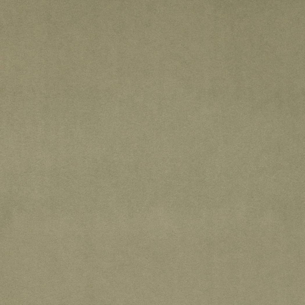 D4514 Sage by Charlotte Designer Fabric Sueded Velvet 100% Polyester, Fleece Backing Asia </p><p>Repeat: No Repeat 54 Inches - Swanky Fabrics -