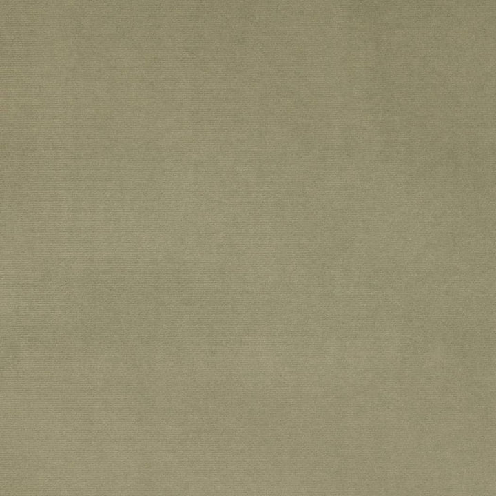D4514 Sage by Charlotte Designer Fabric Sueded Velvet 100% Polyester, Fleece Backing Asia </p><p>Repeat: No Repeat 54 Inches - Swanky Fabrics -