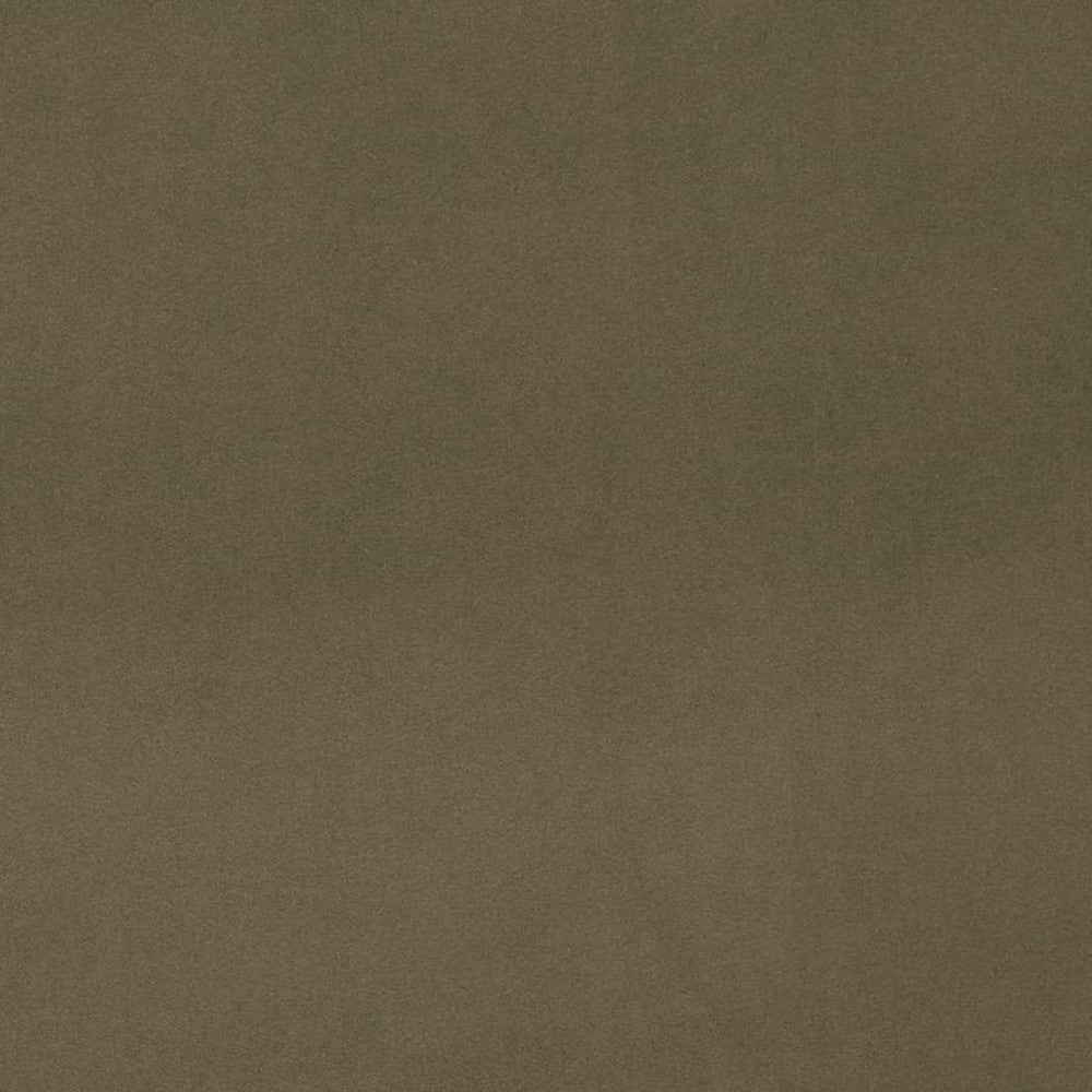 D4515 Eucalyptus by Charlotte Designer Fabric Sueded Velvet 100% Polyester, Fleece Backing Asia </p><p>Repeat: No Repeat 54 Inches - Swanky Fabrics -