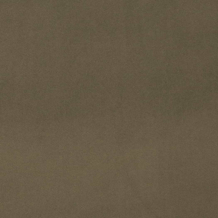 D4515 Eucalyptus by Charlotte Designer Fabric Sueded Velvet 100% Polyester, Fleece Backing Asia </p><p>Repeat: No Repeat 54 Inches - Swanky Fabrics -