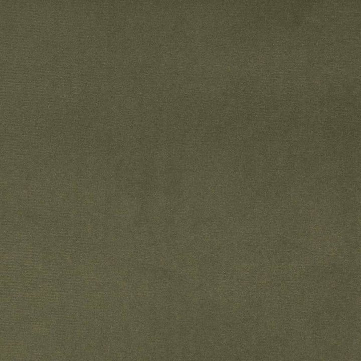 D4516 Dill by Charlotte Designer Fabric Sueded Velvet 100% Polyester, Fleece Backing Asia </p><p>Repeat: No Repeat 54 Inches - Swanky Fabrics -