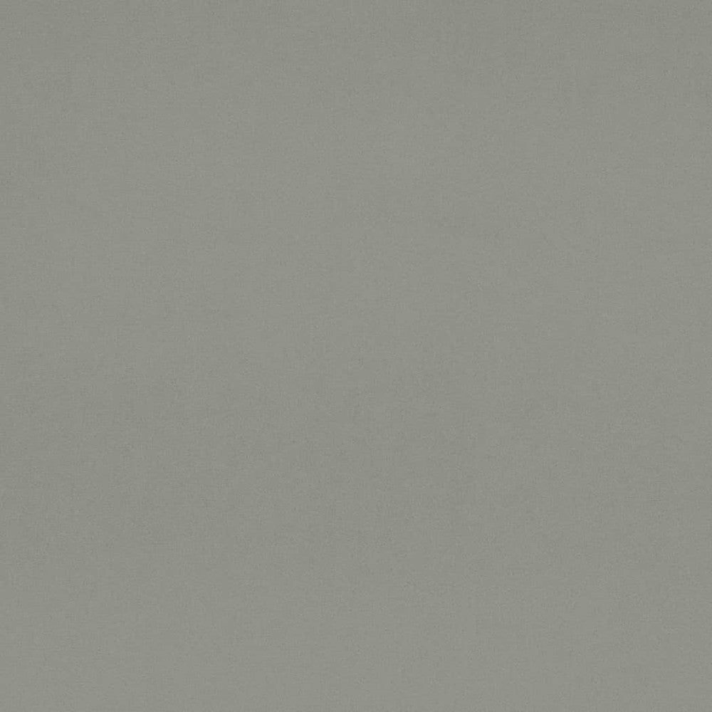 D4519 Chambray by Charlotte Designer Fabric Sueded Velvet 100% Polyester, Fleece Backing Asia </p><p>Repeat: No Repeat 54 Inches - Swanky Fabrics -