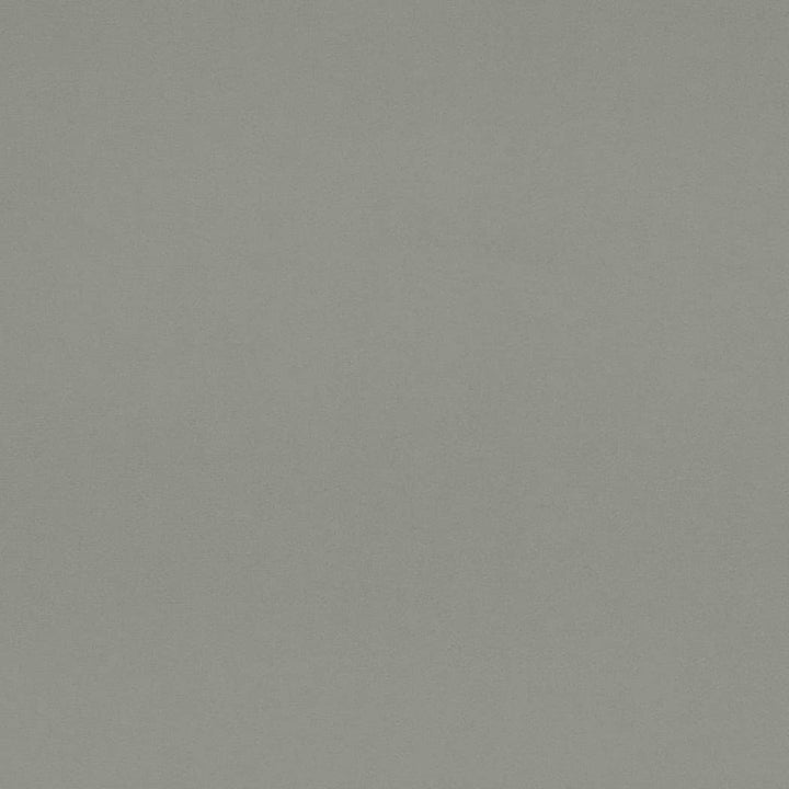 D4519 Chambray by Charlotte Designer Fabric Sueded Velvet 100% Polyester, Fleece Backing Asia </p><p>Repeat: No Repeat 54 Inches - Swanky Fabrics -