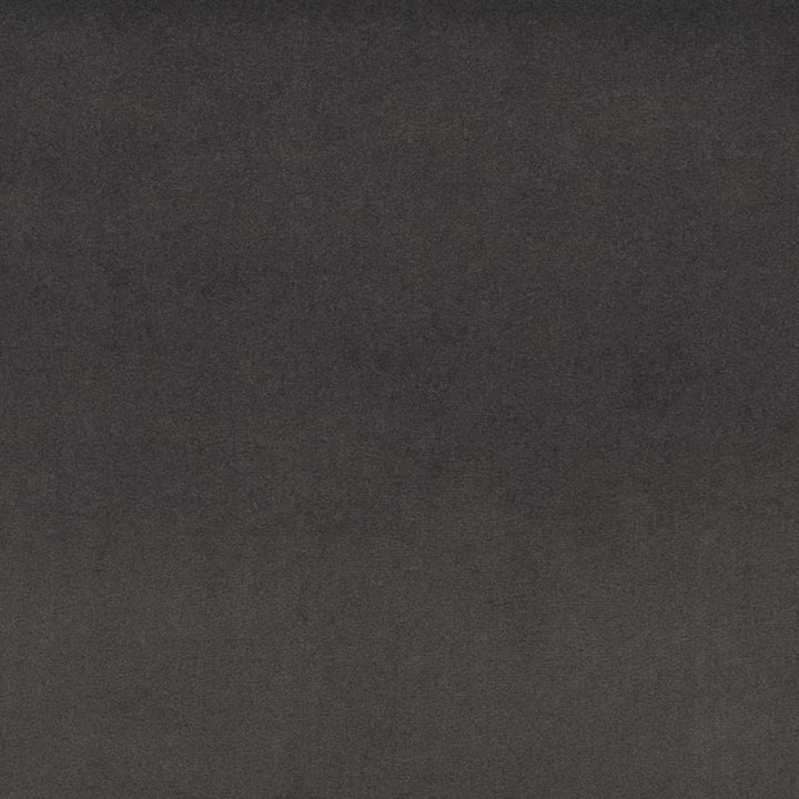 D4523 Charcoal by Charlotte Designer Fabric Sueded Velvet 100% Polyester, Fleece Backing Asia </p><p>Repeat: No Repeat 54 Inches - Swanky Fabrics -