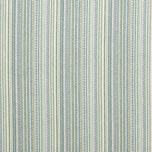 D4534 Canopy Pool by Charlotte Designer Fabric