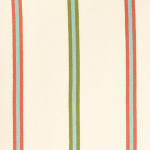 D4538 Awning Grass by Charlotte Designer Fabric