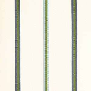D4539 Awning Pool by Charlotte Designer Fabric