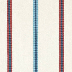 D4541 Awning Marine by Charlotte Designer Fabric