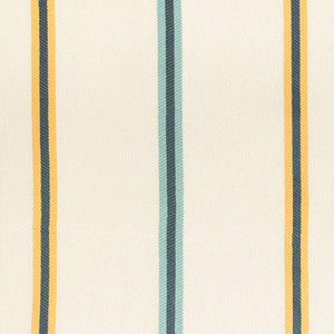 D4542 Awning Sun by Charlotte Designer Fabric