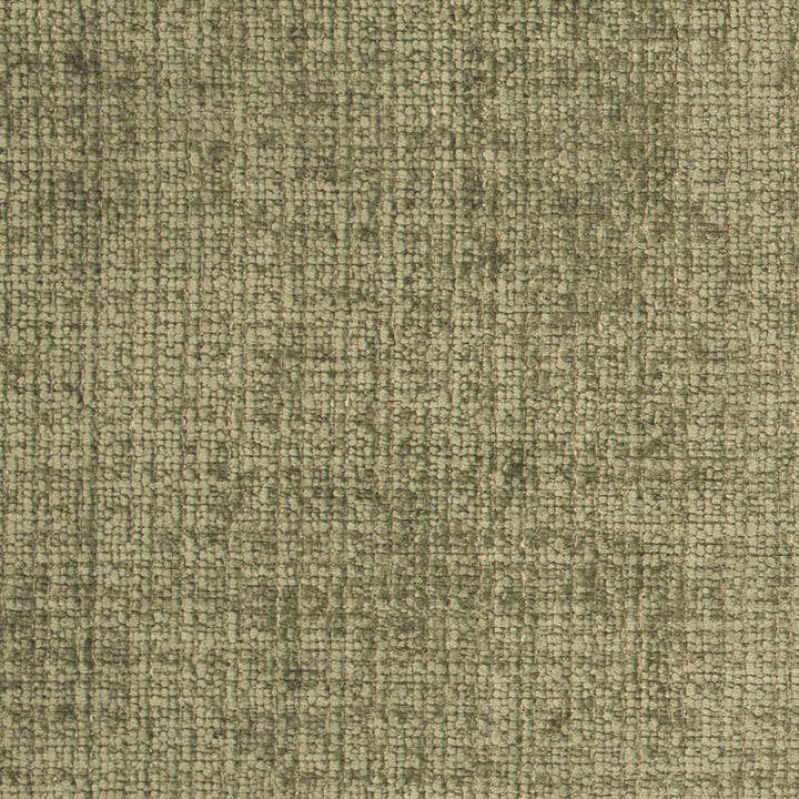 D4578 Lichen by Charlotte Designer Fabric Crypton Posh II 100% Polyester Finished in USA </p><p>Repeat: No Repeat 54 Inches - Swanky Fabrics -
