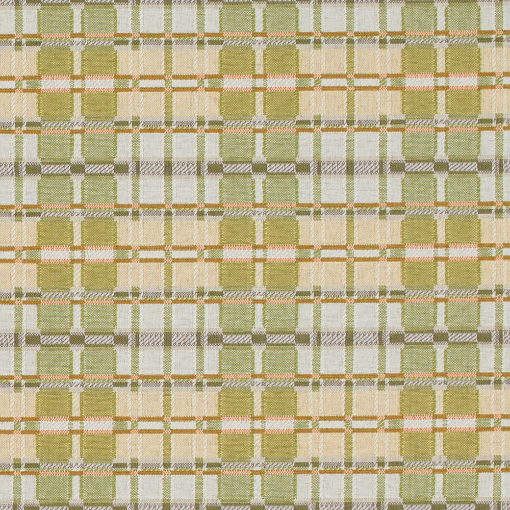D4616 Artichoke by Charlotte Designer Fabric Contract Collective 100% Polyester USA Exceeds 100,000 Wyzenbeek Rubs (Heavy Duty) Horizontal 3.5" x Vertical 3.25" 54 Inches - Swanky Fabrics -