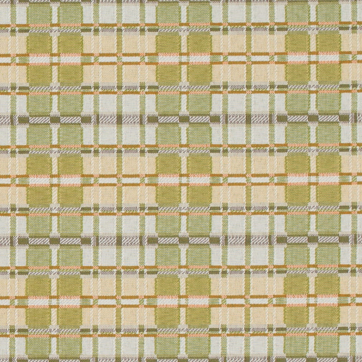 D4616 Artichoke by Charlotte Designer Fabric Contract Collective 100% Polyester USA Exceeds 100,000 Wyzenbeek Rubs (Heavy Duty) Horizontal 3.5" x Vertical 3.25" 54 Inches - Swanky Fabrics -