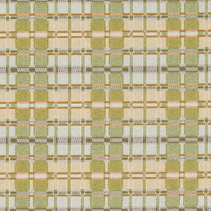 D4616 Artichoke by Charlotte Designer Fabric