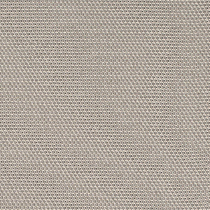 D4624 Platinum by Charlotte Designer Fabric Contract Collective 100% Polyester USA Exceeds 100,000 Wyzenbeek Rubs (Heavy Duty) No Repeat 54 Inches - Swanky Fabrics -