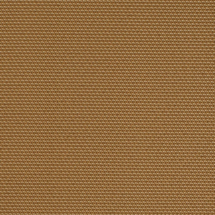 D4625 Golden by Charlotte Designer Fabric Contract Collective 100% Polyester USA Exceeds 100,000 Wyzenbeek Rubs (Heavy Duty) No Repeat 54 Inches - Swanky Fabrics -