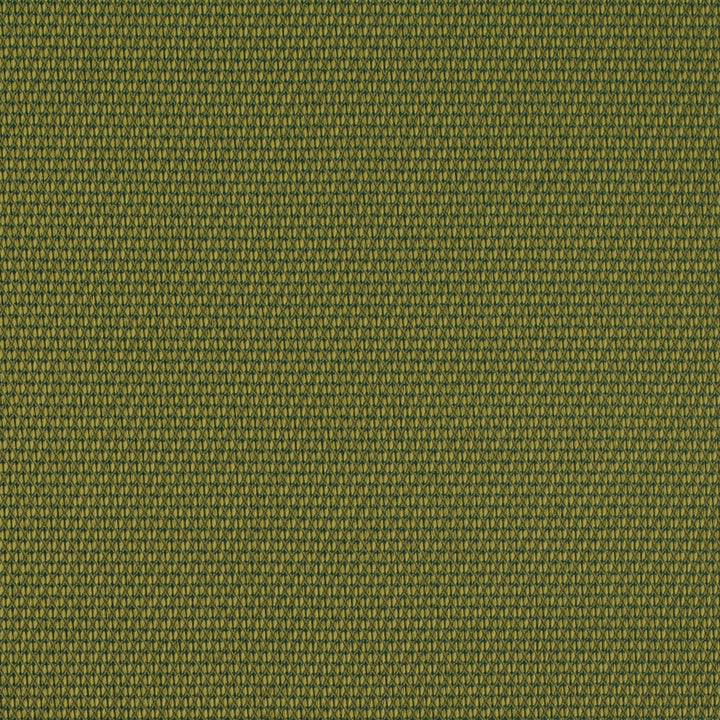 D4629 Lime by Charlotte Designer Fabric Contract Collective 100% Polyester USA Exceeds 100,000 Wyzenbeek Rubs (Heavy Duty) No Repeat 54 Inches - Swanky Fabrics -