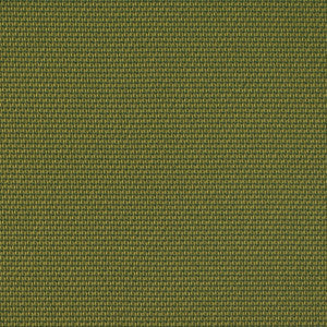 D4629 Lime by Charlotte Designer Fabric