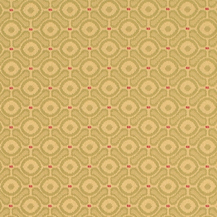 D4641 Pistachio by Charlotte Designer Fabric Contract Collective 100% Polyester USA Exceeds 100,000 Wyzenbeek Rubs (Heavy Duty) Horizontal 1.75" x Vertical 1.75" 54 Inches - Swanky Fabrics -