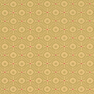 D4641 Pistachio by Charlotte Designer Fabric