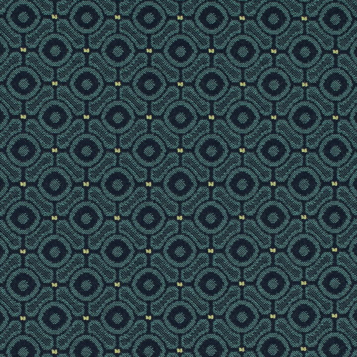D4642 Pacific by Charlotte Designer Fabric Contract Collective 100% Polyester USA Exceeds 100,000 Wyzenbeek Rubs (Heavy Duty) Horizontal 1.75" x Vertical 1.75" 54 Inches - Swanky Fabrics -