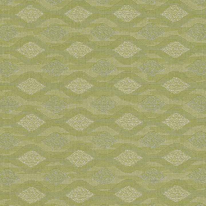 D4647 Sage by Charlotte Designer Fabric Contract Collective 100% Polyester USA Exceeds 100,000 Wyzenbeek Rubs (Heavy Duty) Horizontal 2.5" x Vertical 2.5" 54 Inches - Swanky Fabrics -
