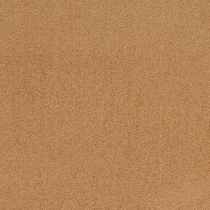 D4657 Desert by Charlotte Designer Fabric Crypton Mid Century 100% Polyester Finished in USA Exceeds 200,000 Wyzenbeek Rubs (Heavy Duty) No Repeat 54 Inches - Swanky Fabrics -