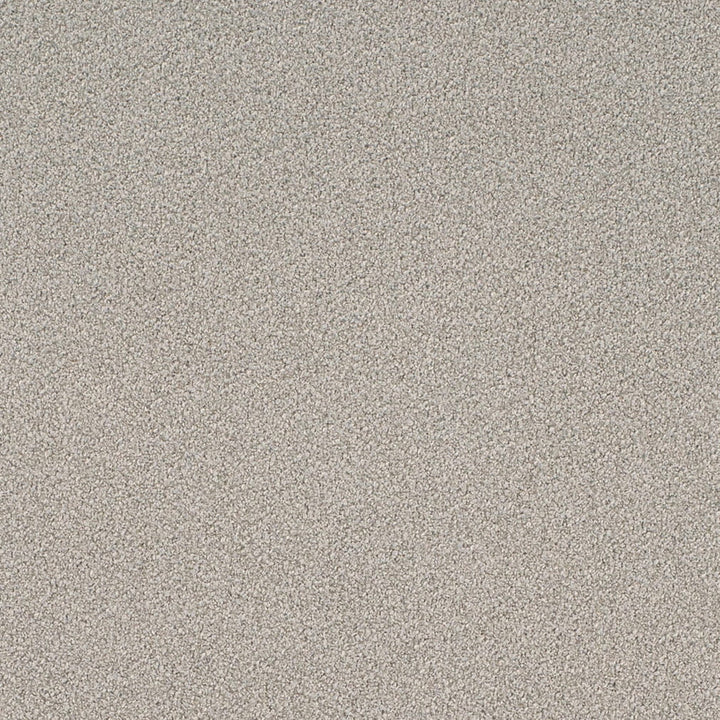 D4658 Sterling by Charlotte Designer Fabric Crypton Mid Century 100% Polyester Finished in USA Exceeds 200,000 Wyzenbeek Rubs (Heavy Duty) No Repeat 54 Inches - Swanky Fabrics -