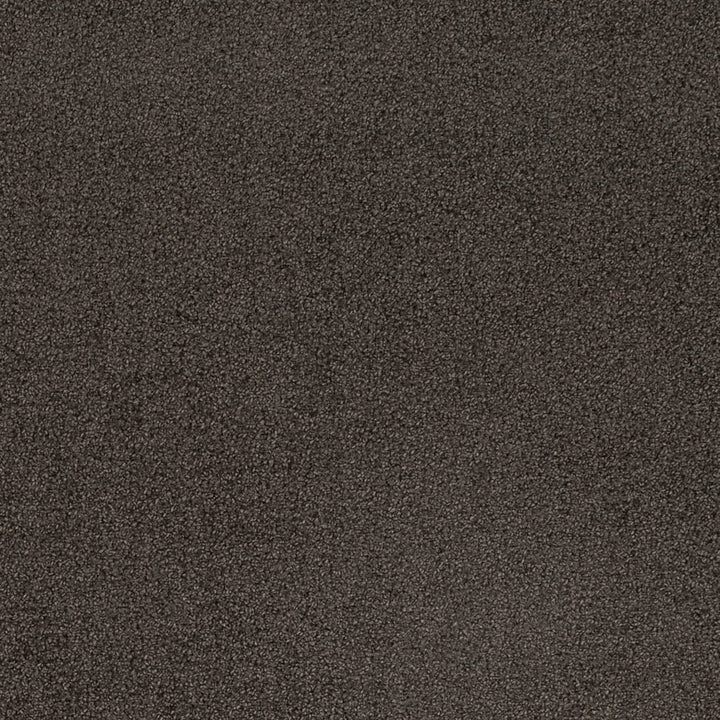 D4659 Ash by Charlotte Designer Fabric Crypton Mid Century 100% Polyester Finished in USA Exceeds 200,000 Wyzenbeek Rubs (Heavy Duty) No Repeat 54 Inches - Swanky Fabrics -