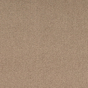 D4662 Taupe by Charlotte Designer Fabric