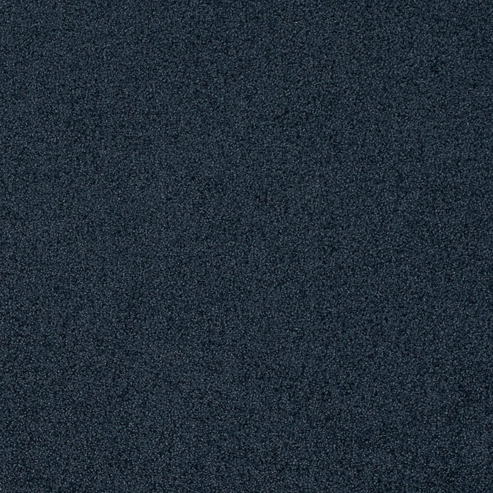 D4663 Blueberry by Charlotte Designer Fabric Crypton Mid Century 100% Polyester Finished in USA Exceeds 200,000 Wyzenbeek Rubs (Heavy Duty) No Repeat 54 Inches - Swanky Fabrics -