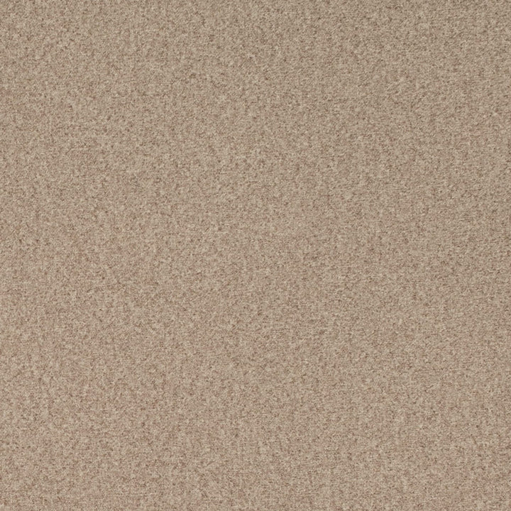 D4672 Pebble by Charlotte Designer Fabric Crypton Mid Century 100% Polyester Finished in USA Exceeds 200,000 Wyzenbeek Rubs (Heavy Duty) No Repeat 54 Inches - Swanky Fabrics -