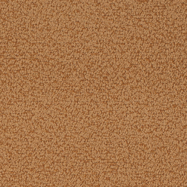 D4679 Tawny by Charlotte Designer Fabric Crypton Mid Century 100% Polyester Finished in USA Exceeds 200,000 Wyzenbeek Rubs (Heavy Duty) No Repeat 54 Inches - Swanky Fabrics -