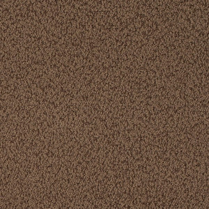 D4682 Cappuccino by Charlotte Designer Fabric