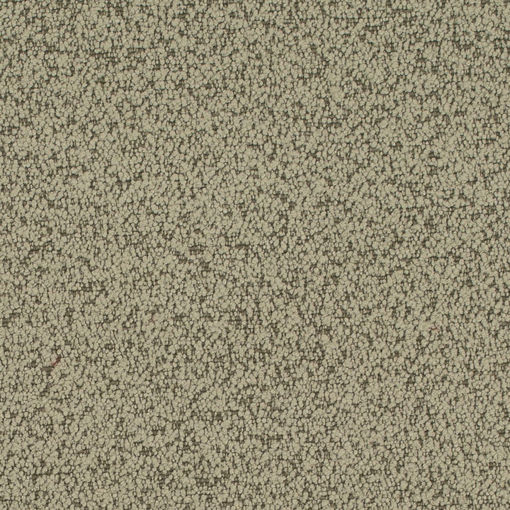 D4684 Sage by Charlotte Designer Fabric Crypton Mid Century 100% Polyester Finished in USA Exceeds 200,000 Wyzenbeek Rubs (Heavy Duty) No Repeat 54 Inches - Swanky Fabrics -