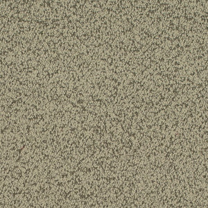 D4684 Sage by Charlotte Designer Fabric