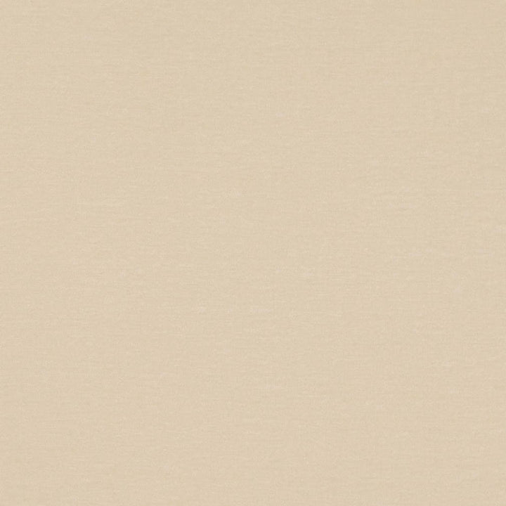 D4699 Pearl by Charlotte Designer Fabric Luxe Velvet II 100% Polyester Asia Exceeds 120,000 Wyzenbeek Rubs (Heavy Duty) No Repeat 54 Inches - Swanky Fabrics -
